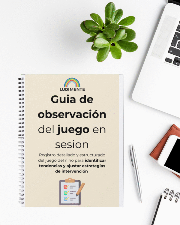Guía de observación del juego en sesion
