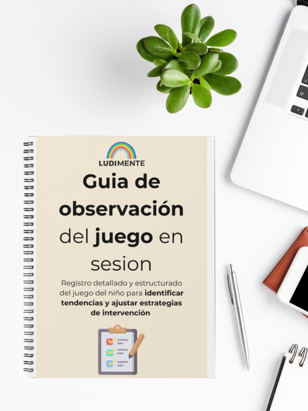 Guía de observación del juego en sesion