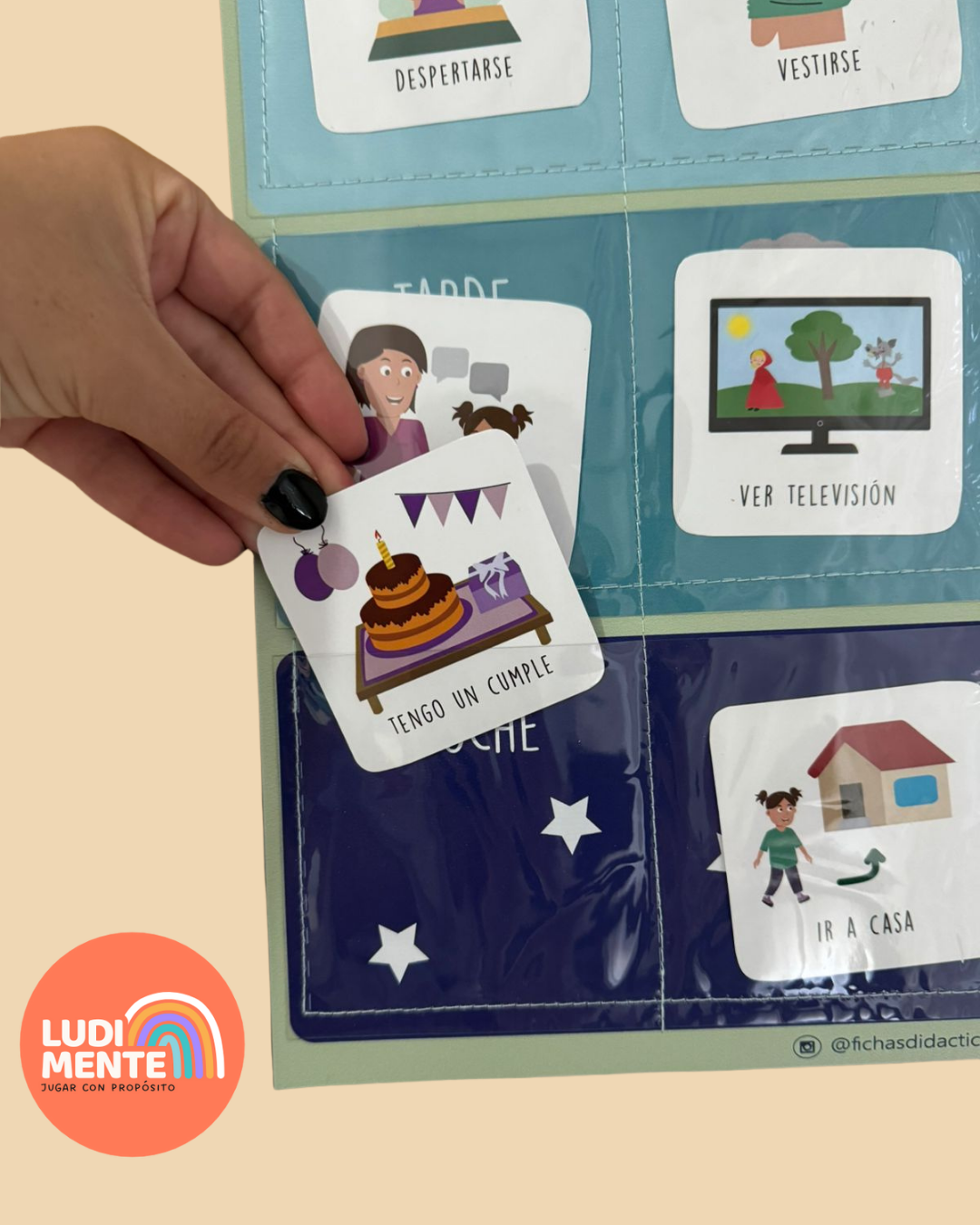 Organizador diario - Image 4